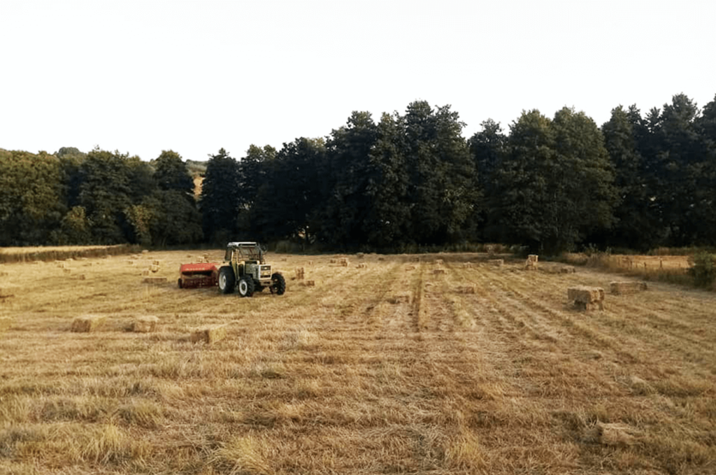 Agriturismo La Corte dei Pini Agricoltura
